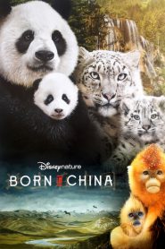 Disneynature: Nacidos en China