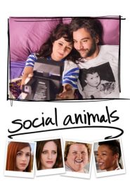Amor y disfunción (Social Animals)