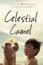 Celestial Camel (Nebesnyy verblyud)