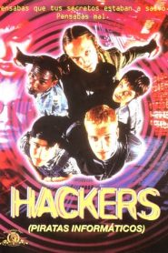 Piratas informáticos (Hackers)