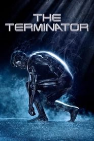 Terminator: Destino Oscuro (2019)