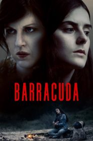 Barracuda 2017