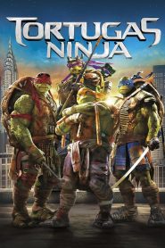 Ninja Turtles 2014