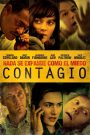 Contagio 2011