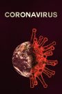 Coronavirus Como Comenzo Todo 2020