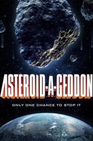 Asteroid a Geddon 2020