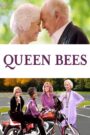 Queen Bees 2021