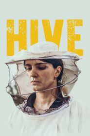 Hive (Colmena) 2021