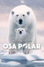 Osa Polar 2022