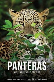Panteras: Viviendo entre felinos 2021