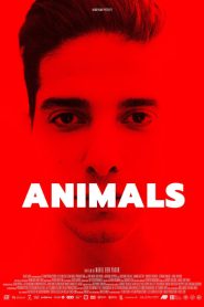 Animals 2021